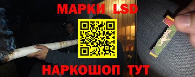 шишки Ставрополь