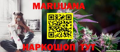 шишки Ставрополь