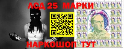 шишки Ставрополь
