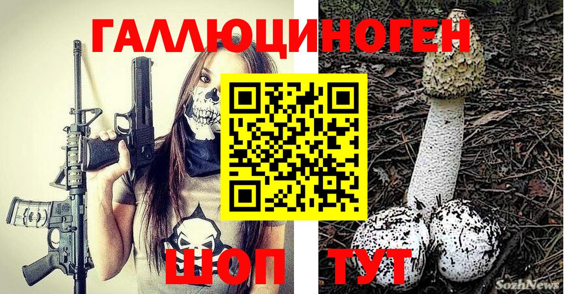 Галлюциногенные грибы GOLDEN TEACHER Якутск
