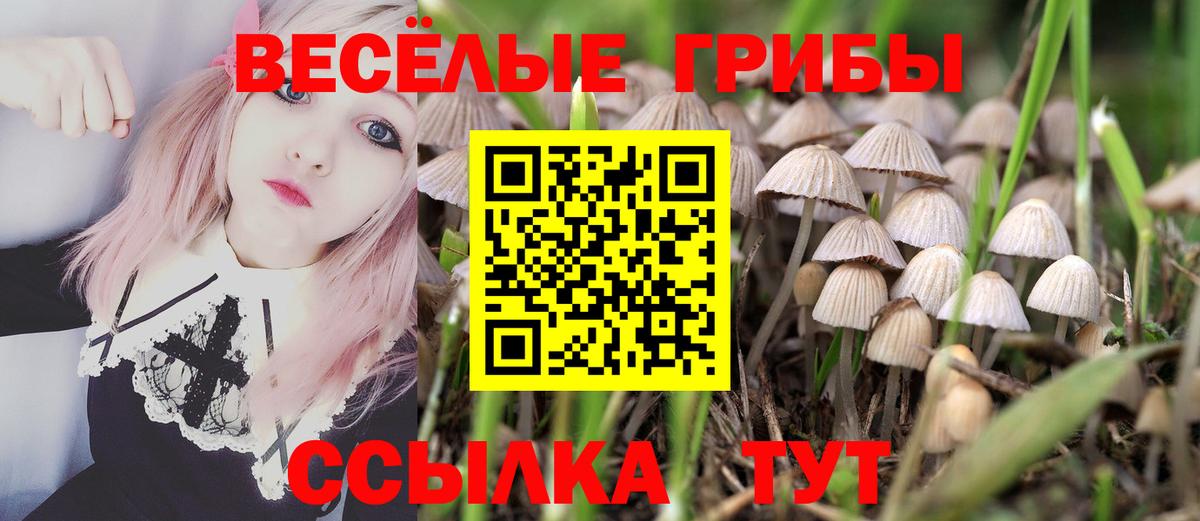 где можно купить наркотик  Галлюциногенные грибы прущие грибы  Вход с VPN  Якутск  Галлюциногенные грибы прущие грибы 